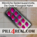 Männliche Seidenraupenmotte, Die Orale Flüssigkeit Nährt 09